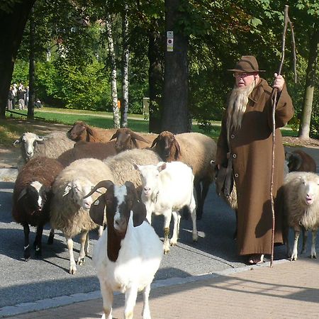 فندق Kurhaus Jonsdorf المظهر الخارجي الصورة